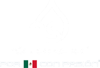 https://www.nucleosepec.com.mx/wp-content/uploads/2020/11/logo-nsbr.png